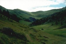 grepa10_496.jpg