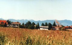 monti_193.jpg