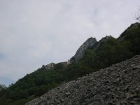 6_842.jpg