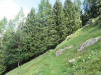 alagna_rima_carcoforo__19__513.jpg