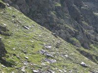 alagna_rima_carcoforo__13__208.jpg