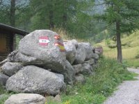 alagna_rima_carcoforo__28__205.jpg