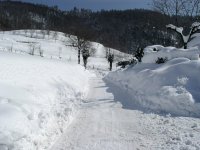 neve-strada-marzo-04-04_366.jpg