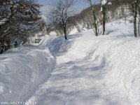 neve-strada-marzo-04-06_197.jpg