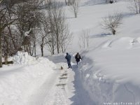 neve-strada-marzo-04-08_684.jpg