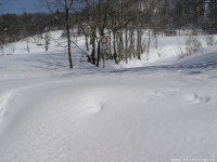 neve-strada-marzo-04-12_396.jpg