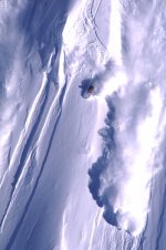 seth_morrison_235.jpg