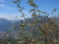 img_0122_323.jpg