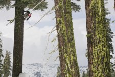 candide-thovex_192.jpg