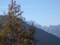 sta_0679_160.jpg