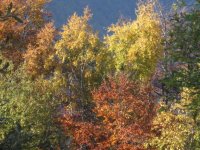 img_0688_131.jpg