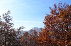 img_0639_185.jpg