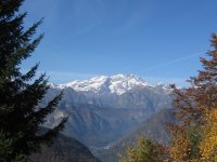 img_0629_166.jpg