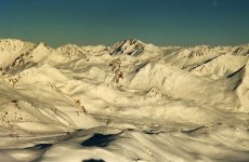 splendido1_391.jpg