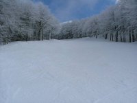 amiata18_178.jpg