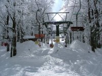 amiata10_121.jpg