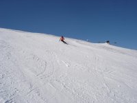 DSC04367.jpg
