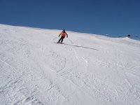 DSC04368.jpg