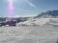 P1010531.jpg