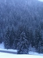 IMG_0072.jpg