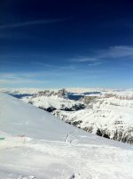 IMG_0273.jpg
