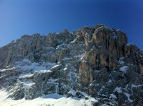 IMG_0293.jpg