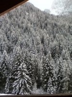 IMG_0074.jpg