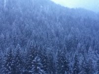 IMG_0071.jpg