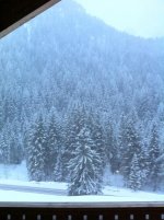 IMG_0267.jpg