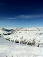 IMG_0274.jpg