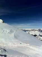 IMG_0272.jpg
