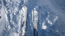 IMG_0394.jpg