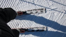 IMG_0380.jpg
