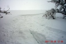 DSCN3862.jpg