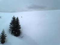 Foto0202.jpg
