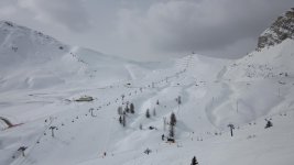 IMG_0780.jpg