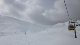 IMG_0796.jpg