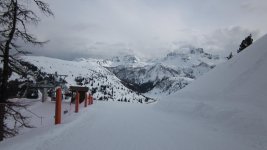 IMG_0911.jpg
