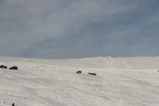 IMG_4755.jpg