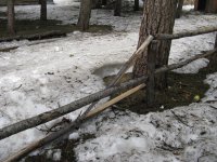IMG_6628.jpg