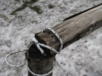 IMG_6631.jpg