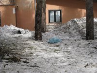 IMG_6630.jpg