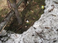 IMG_6638.jpg
