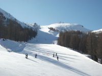 DSCF3061.jpg