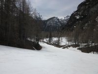 IMG_2527.jpg