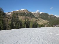 IMG_2645.jpg