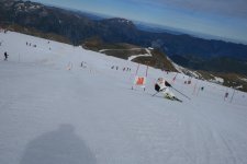IMG_9556.jpg