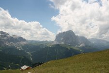 IMG_7902.jpg IMG_7902.jpg