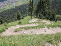 IMG_4778.jpg IMG_4778.jpg