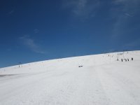 IMG_4990.jpg